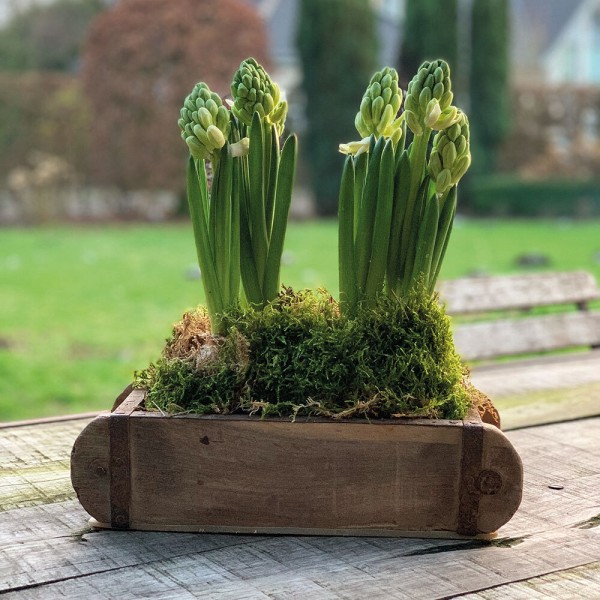Alte Ziegelform Holz zum Dekorieren Vintage Holzkiste Aufbewahrungsbox