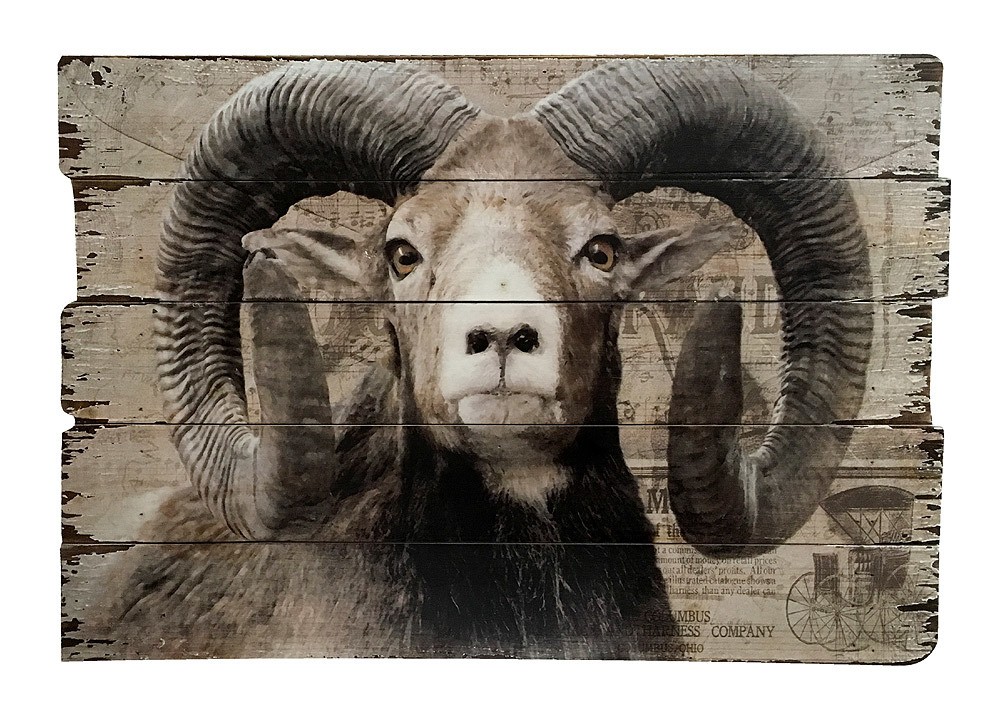 Rustikales Wandbild Widder Holzschild Nostalgie 90x60cm Rustikales Wandbild Widder Holzschild Nostalgie 90x60cm