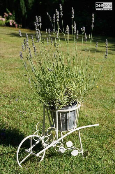 Blumentopfhalter Schubkarre Nostalgie Pflanztopfhalter Landhaus Metall Weiß