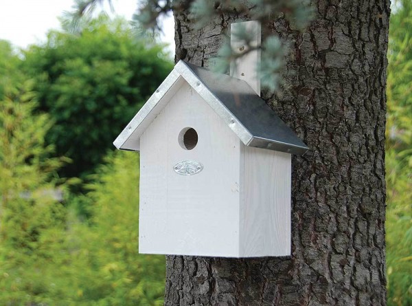 Vogelhaus für Blaumeisen Nistkasten Holz Weiß