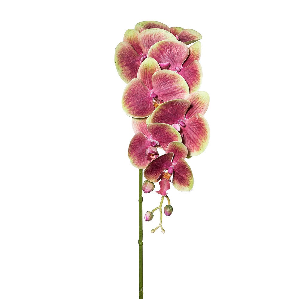 Künstliche Phalenopsis Orchidee Grün-Braun 87cm
