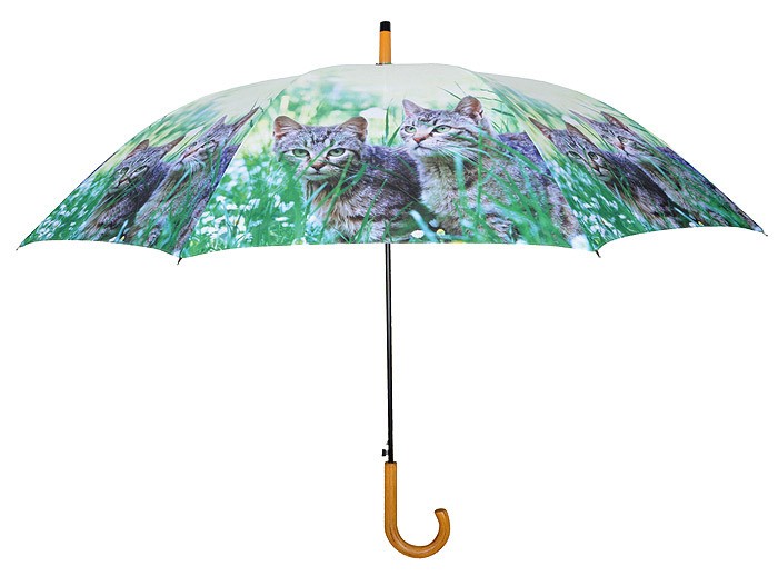 Regenschirm für 2 Personen Stockschirm Katzen Grau getigert