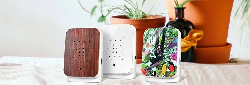 junglebox-guenstig-kaufen_2